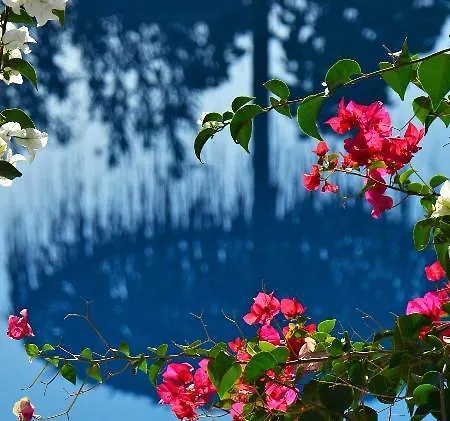 Artemis Santorini Камари