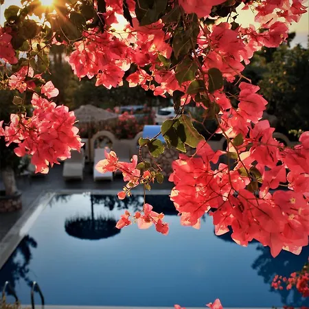 Artemis Santorini Отель